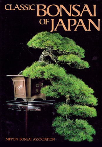 bonsai pictures