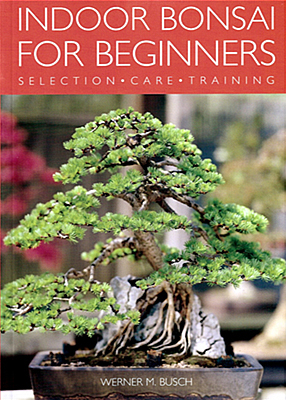 Indoor Bonsai for Beginners